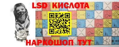 прущие грибы Нарткала