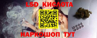 прущие грибы Нарткала