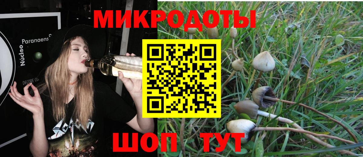 Якутск  Псилоцибиновые грибы мухоморы  Вход с VPN 