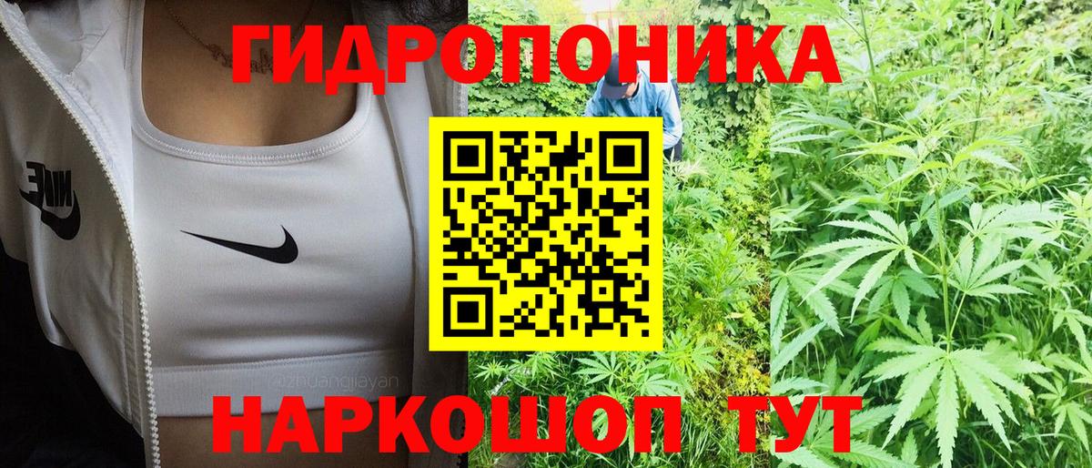 Якутск  Конопля Ganja  Вход с VPN  Бошки марихуана план  МАРИХУАНА план 